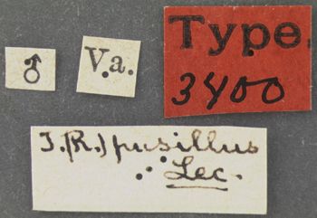 Media type: image;   Entomology 3400 Aspect: labels